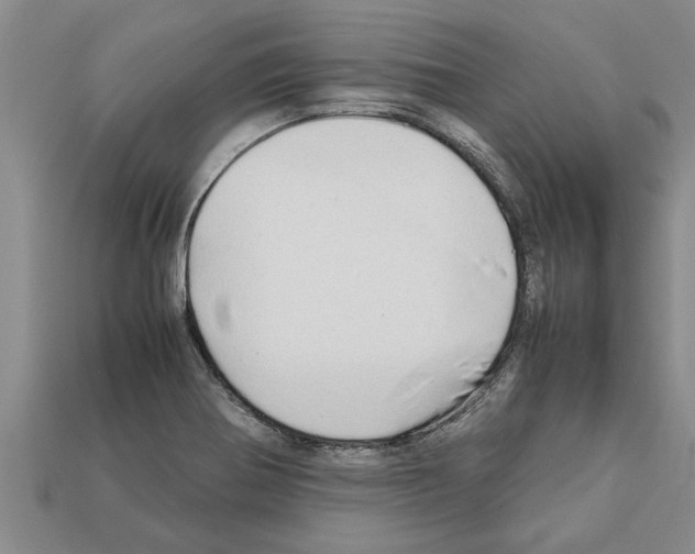 X0000111951370200909071311