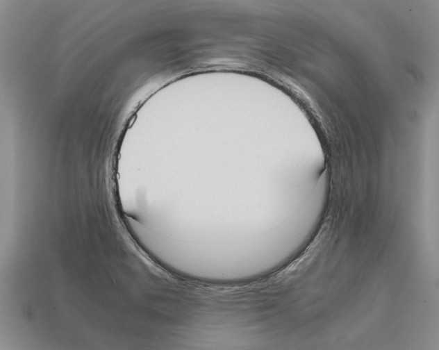 X0000111951373200909071311