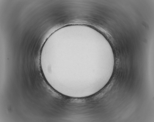 X0000111951374200909071311