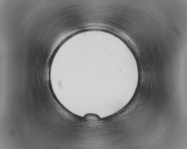 X0000111951376200909071311