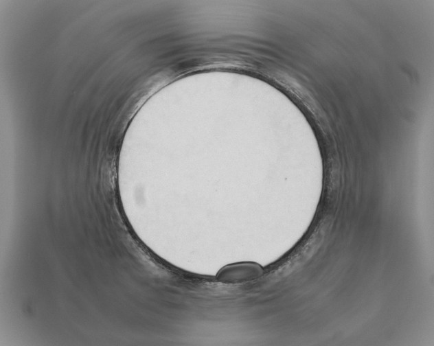 X0000111951377200909071311