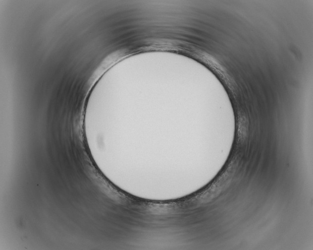 X0000111951378200909071311