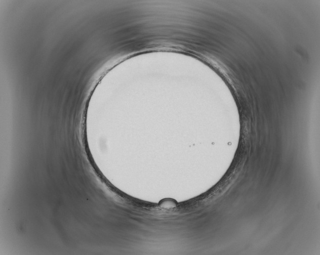 X0000111951379200909071311