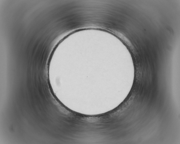 X0000111951380200909071311