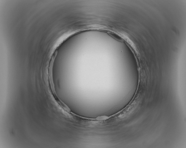 X0000111951381200909071311