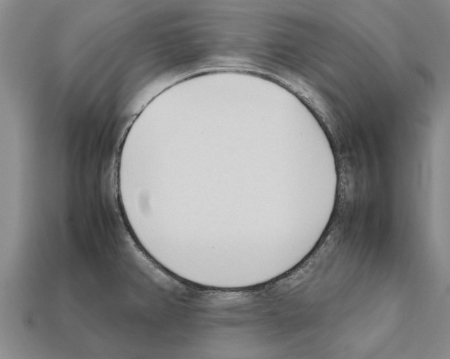 X0000111951382200909071311