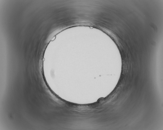 X0000111951383200909071311
