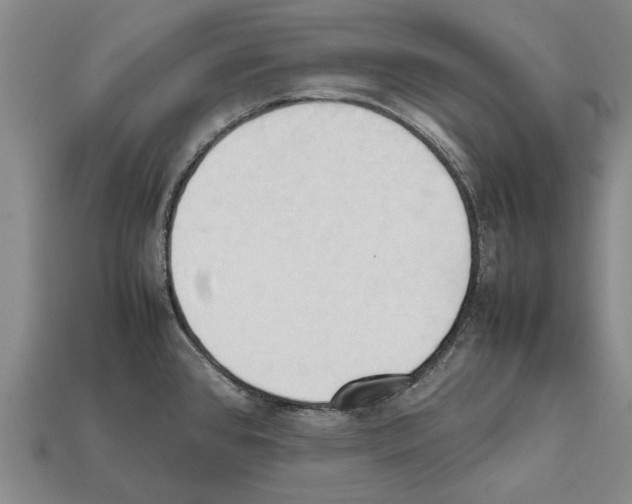 X0000111951384200909071311