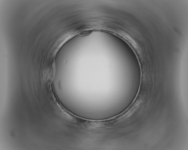 X0000111951385200909071311