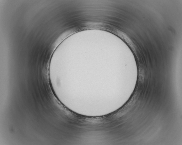 X0000111951386200909071311