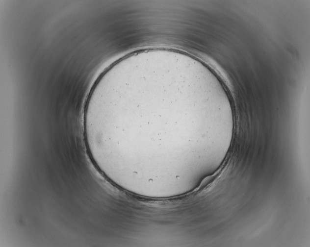 X0000111951388200909071311