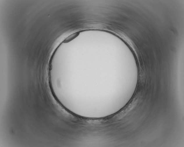 X0000111951389200909071311