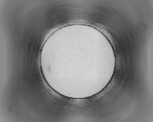 X0000111951390200909071311