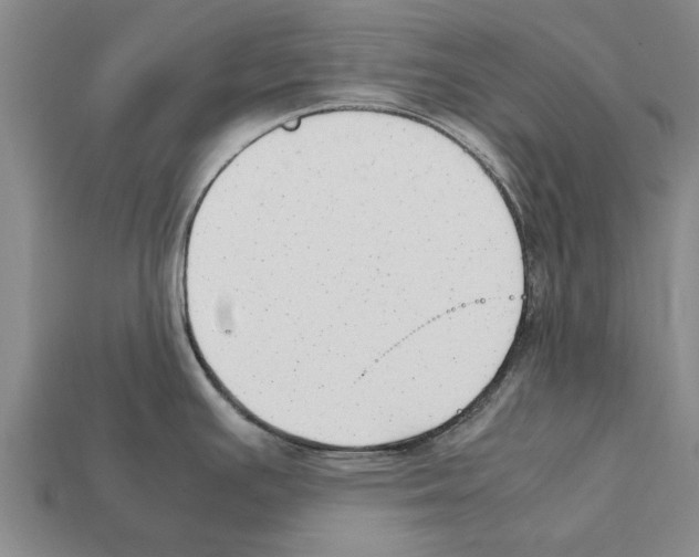 X0000111951391200909071311