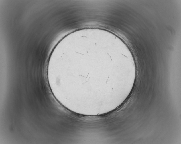 X0000111951392200909071311