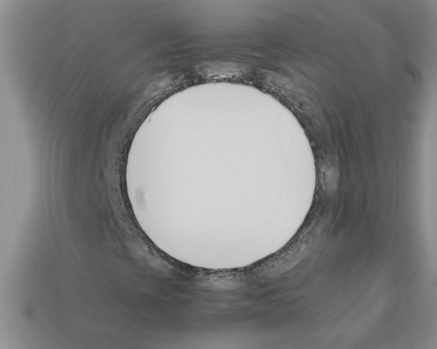X0000111951393200909071310