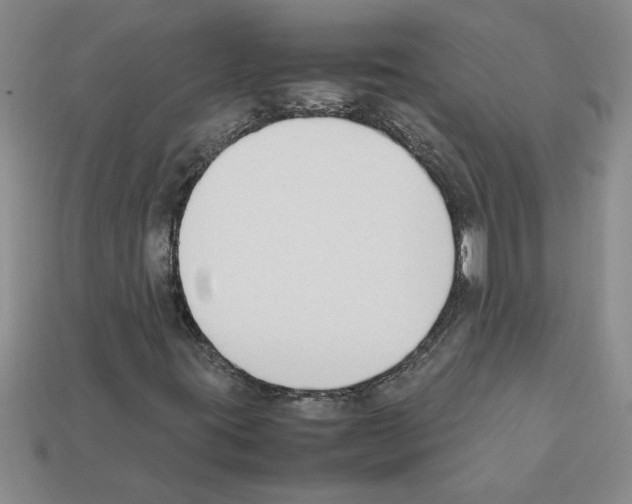 X0000111951395200909071310