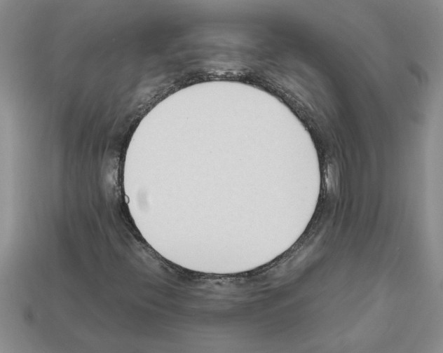 X0000111951396200909071310