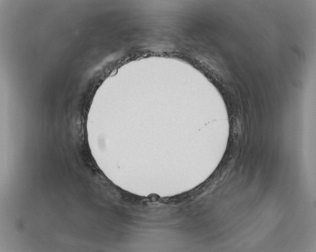 X0000111951398200909071310