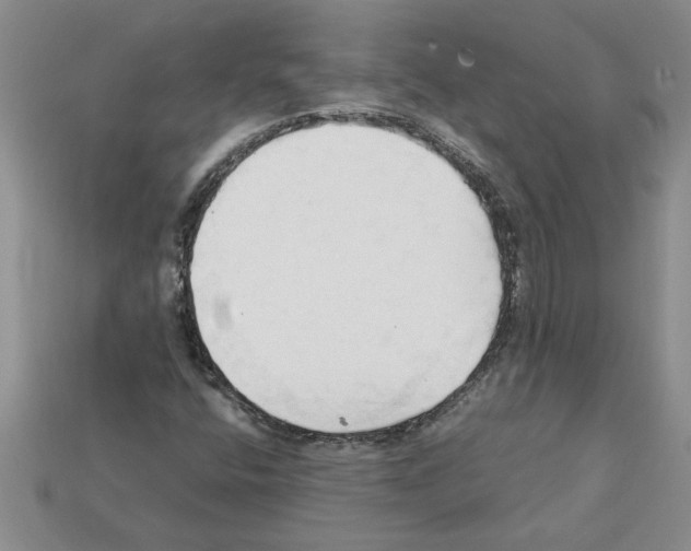 X0000111951400200909071310