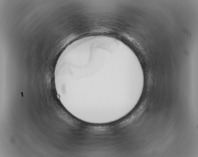 X0000111951401200909071310