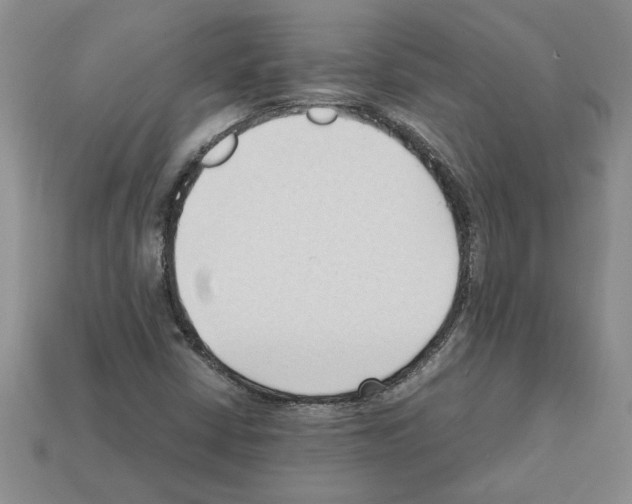 X0000111951402200909071310