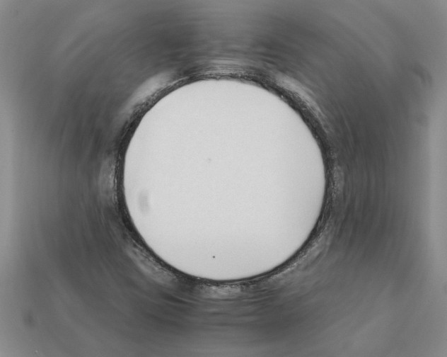 X0000111951403200909071310