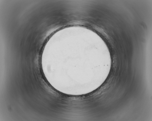 X0000111951404200909071311
