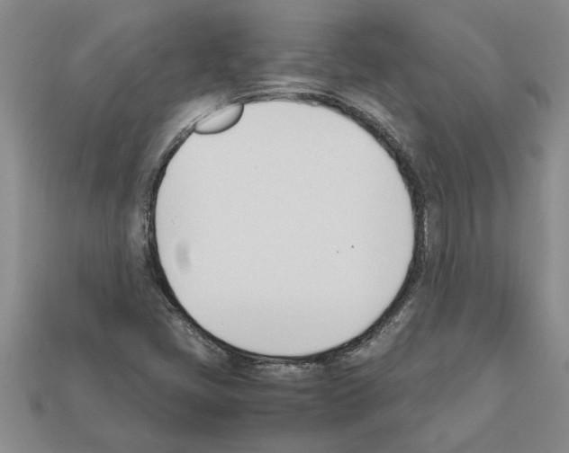 X0000111951405200909071311