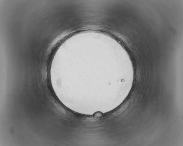 X0000111951406200909071311