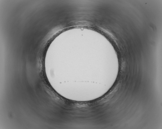 X0000111951407200909071311