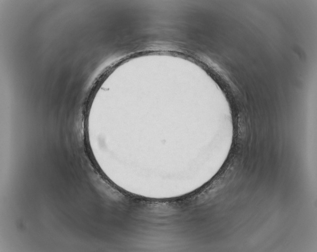 X0000111951408200909071311