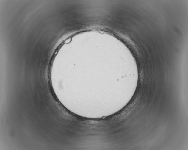 X0000111951412200909071311