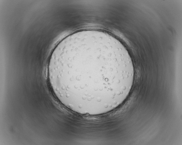 X0000111951413200909071311