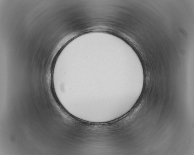X0000111951418200909071311