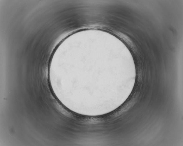 X0000111951420200909071311