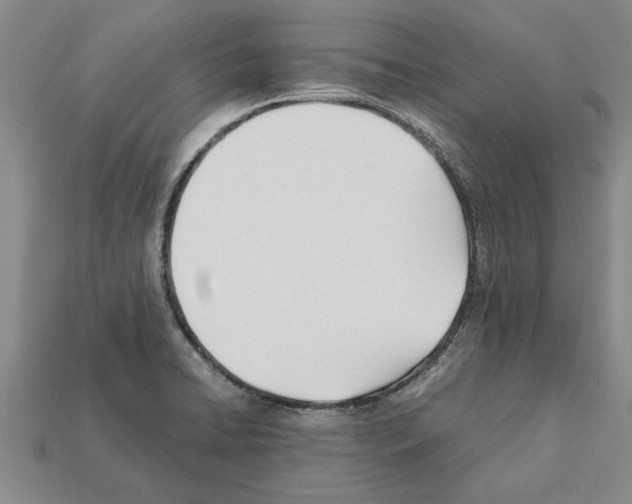 X0000111951422200909071311