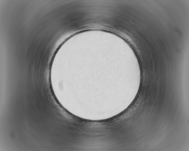 X0000111951424200909071311