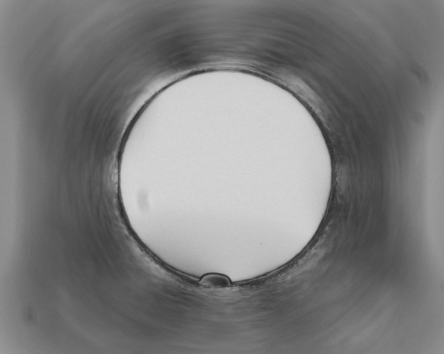 X0000111951428200909071311