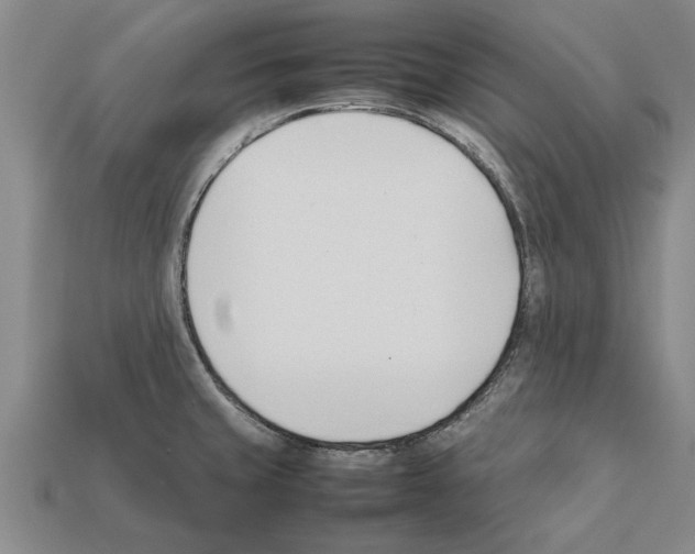 X0000111951429200909071311