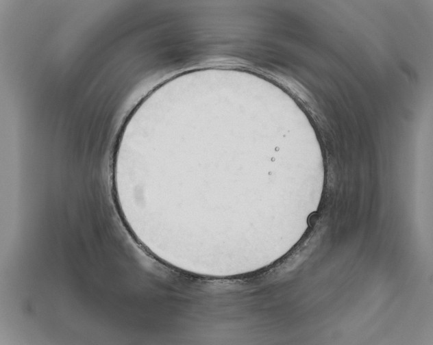 X0000111951430200909071311