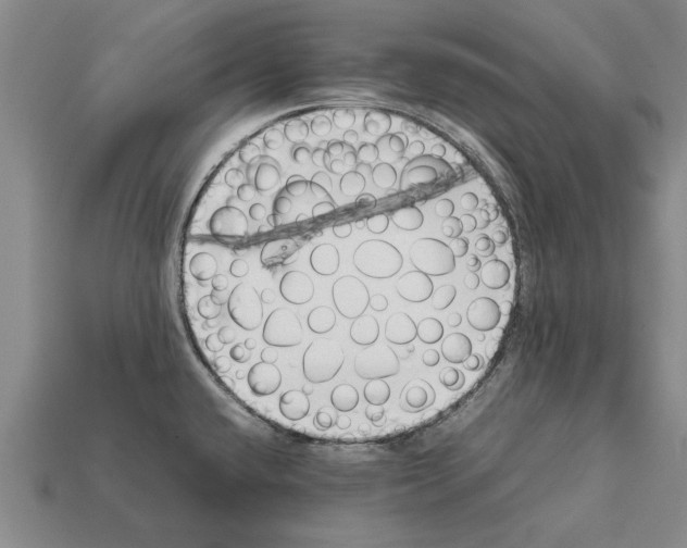X0000111951432200909071311
