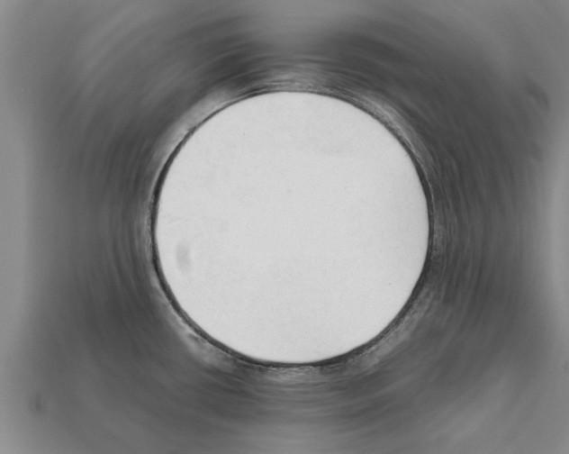 X0000111951434200909071311