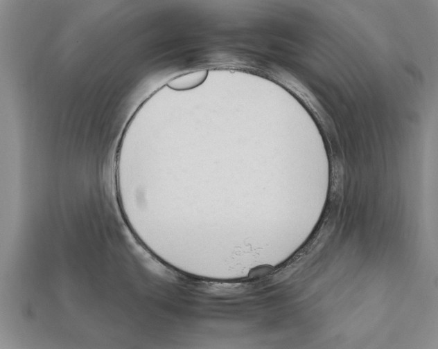 X0000111951439200909071311