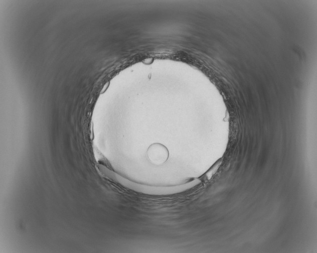X0000111951441200909071310