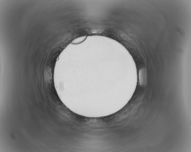 X0000111951443200909071310
