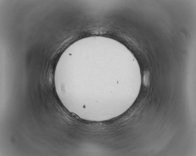 X0000111951444200909071310