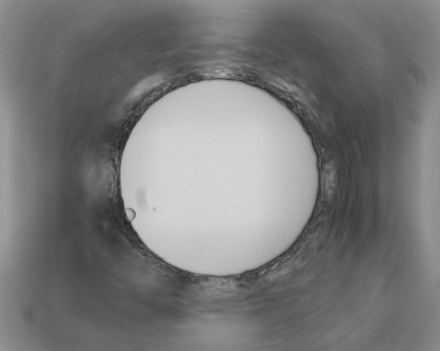 X0000111951446200909071310