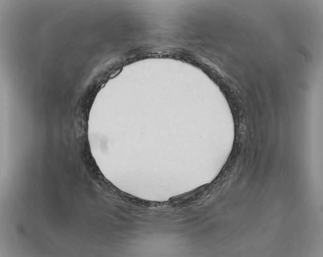 X0000111951447200909071310