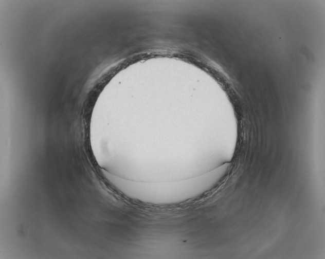 X0000111951448200909071310